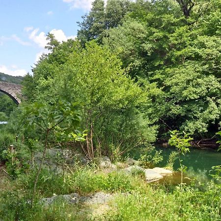 Le Moulin Aux Chandelles 2, Vacances & W-E, Vues Riviere, Montagne & Ville, Tout Confort Deconnecte, Eclairage Bougies, Connexions A 200M Au Centre Le Vigan Gite Les Amoureux De L'Arre, Randonnee Chemin De Saint-Guilhem-Le-Desert, Lire Profil Avant R Екстер'єр фото