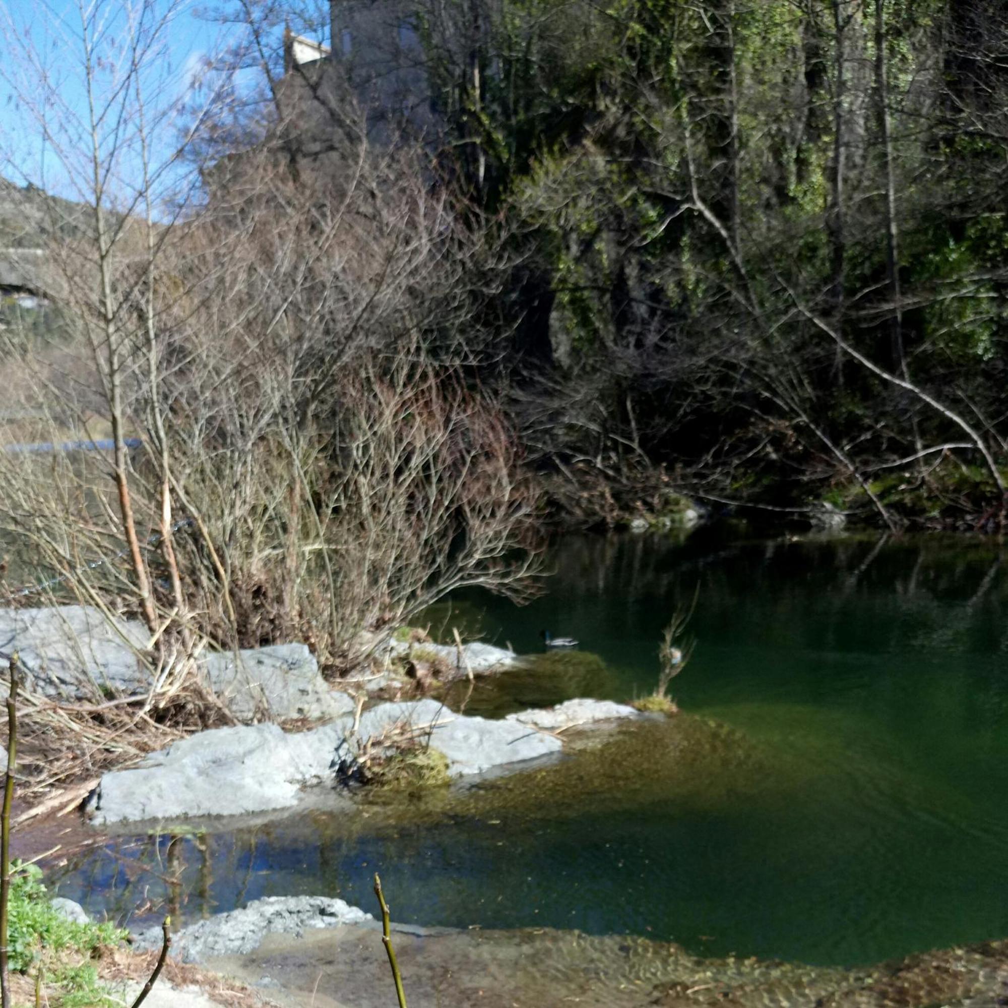 Le Moulin Aux Chandelles 2, Vacances & W-E, Vues Riviere, Montagne & Ville, Tout Confort Deconnecte, Eclairage Bougies, Connexions A 200M Au Centre Le Vigan Gite Les Amoureux De L'Arre, Randonnee Chemin De Saint-Guilhem-Le-Desert, Lire Profil Avant R Екстер'єр фото